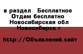  в раздел : Бесплатное » Отдам бесплатно . Новосибирская обл.,Новосибирск г.